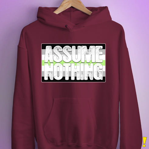Assume Nothing Agender Pride Flag Hoodie - Maroon